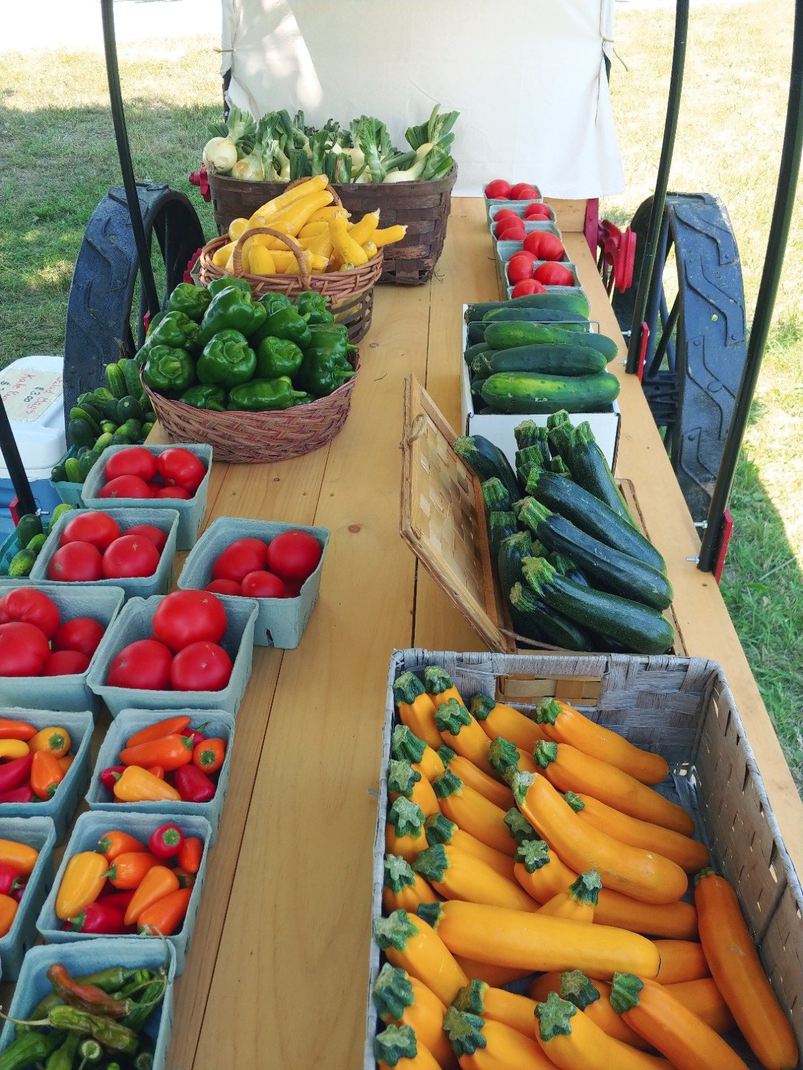 Fresh tomatoes, peppers, squash, cucumbers, and onions at the farm stand