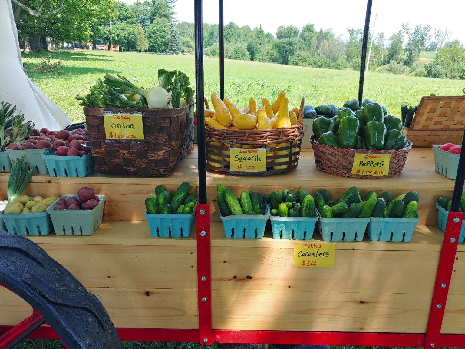 A colorful farm-stand display of fresh vegetables
