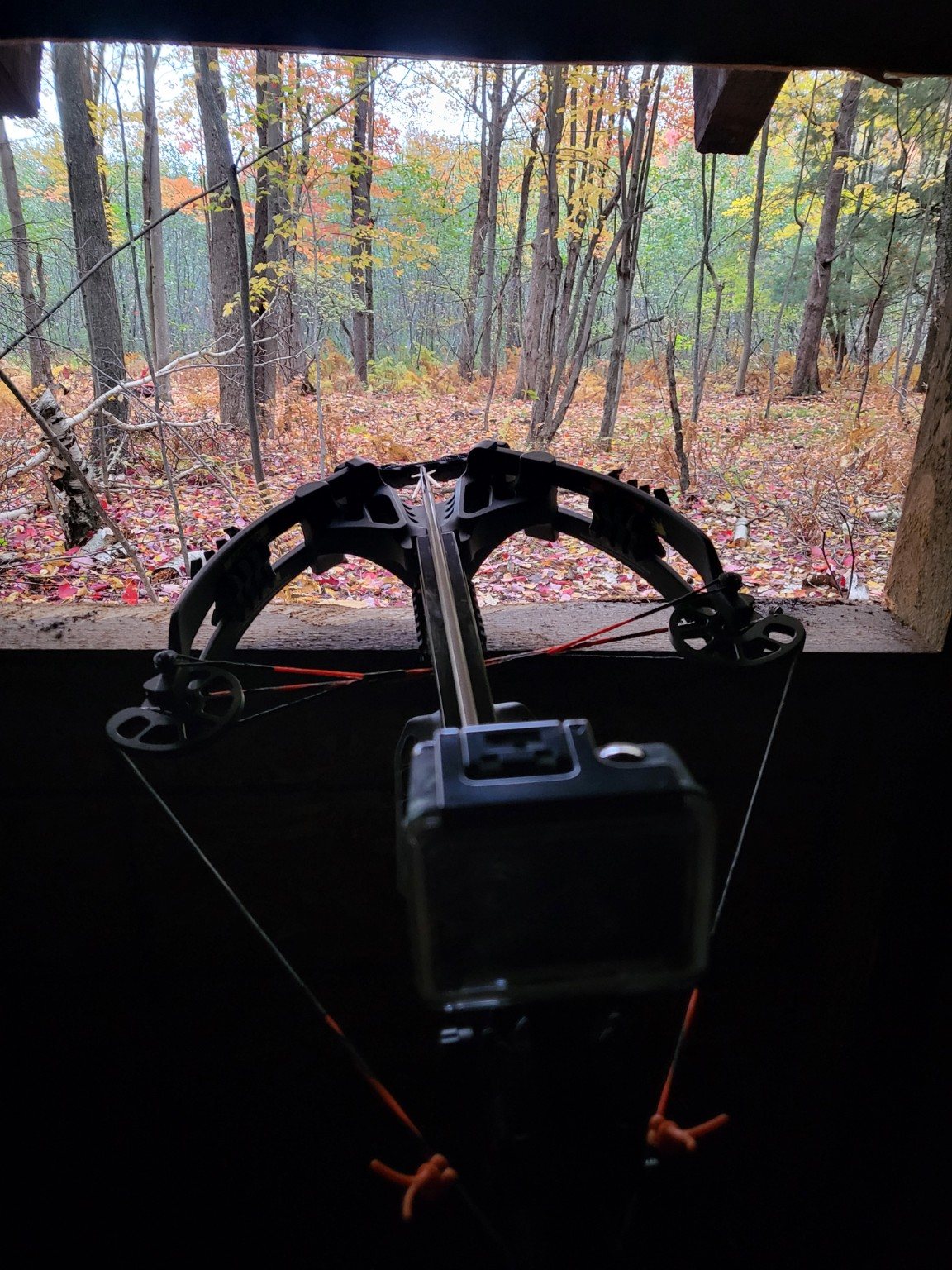 A hunting bow resting at the opening of a blind overlooking autumn woods