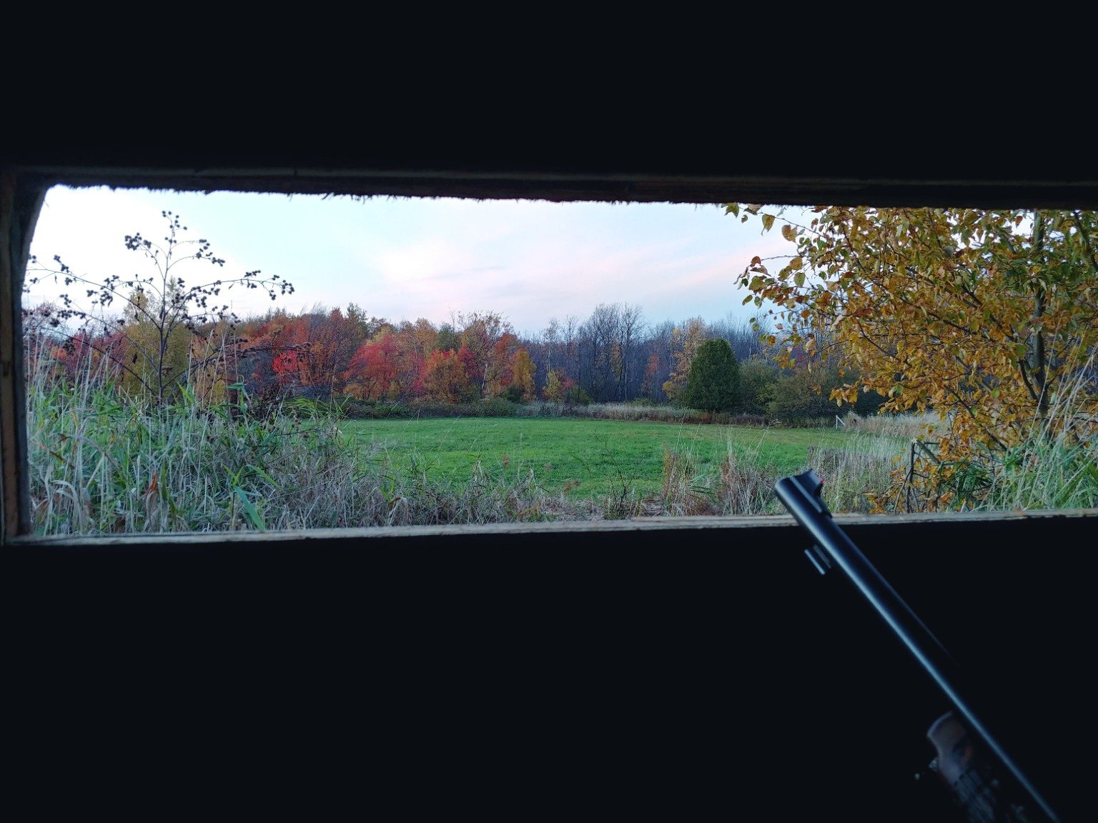 View across an autumn field from a hunting blind
