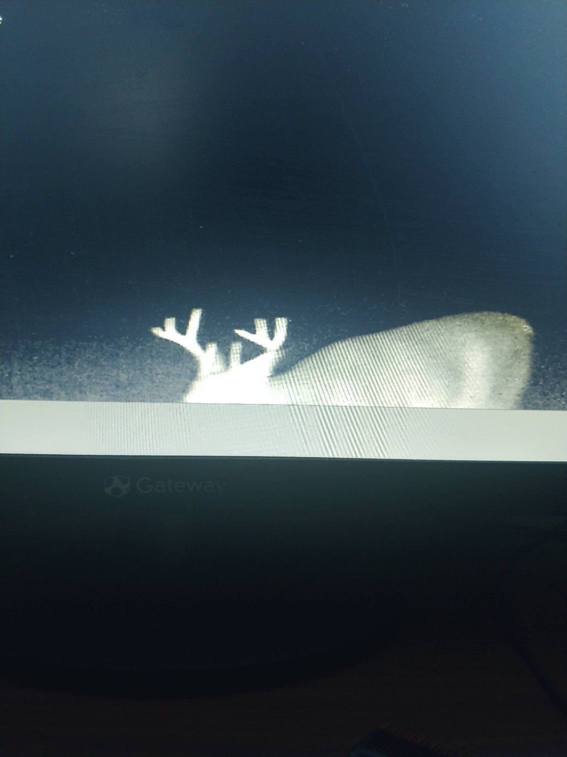 A buck photographed at night on a trail camera display