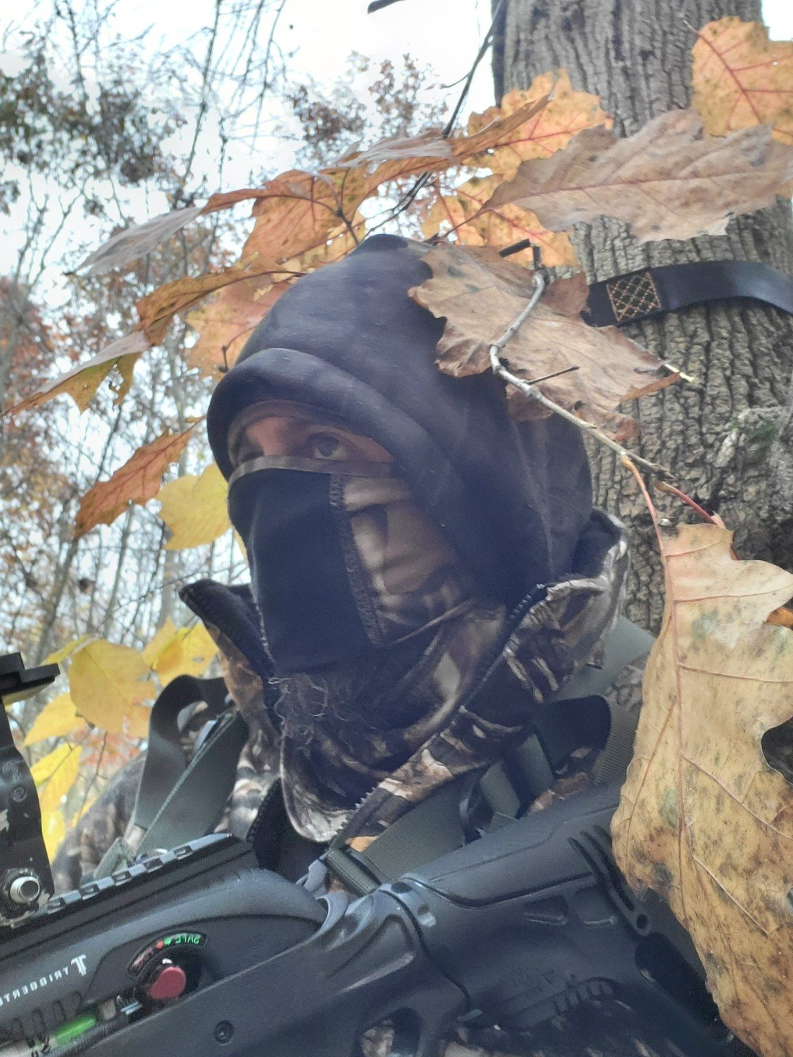 Bow hunting from a tree stand in autumn woods