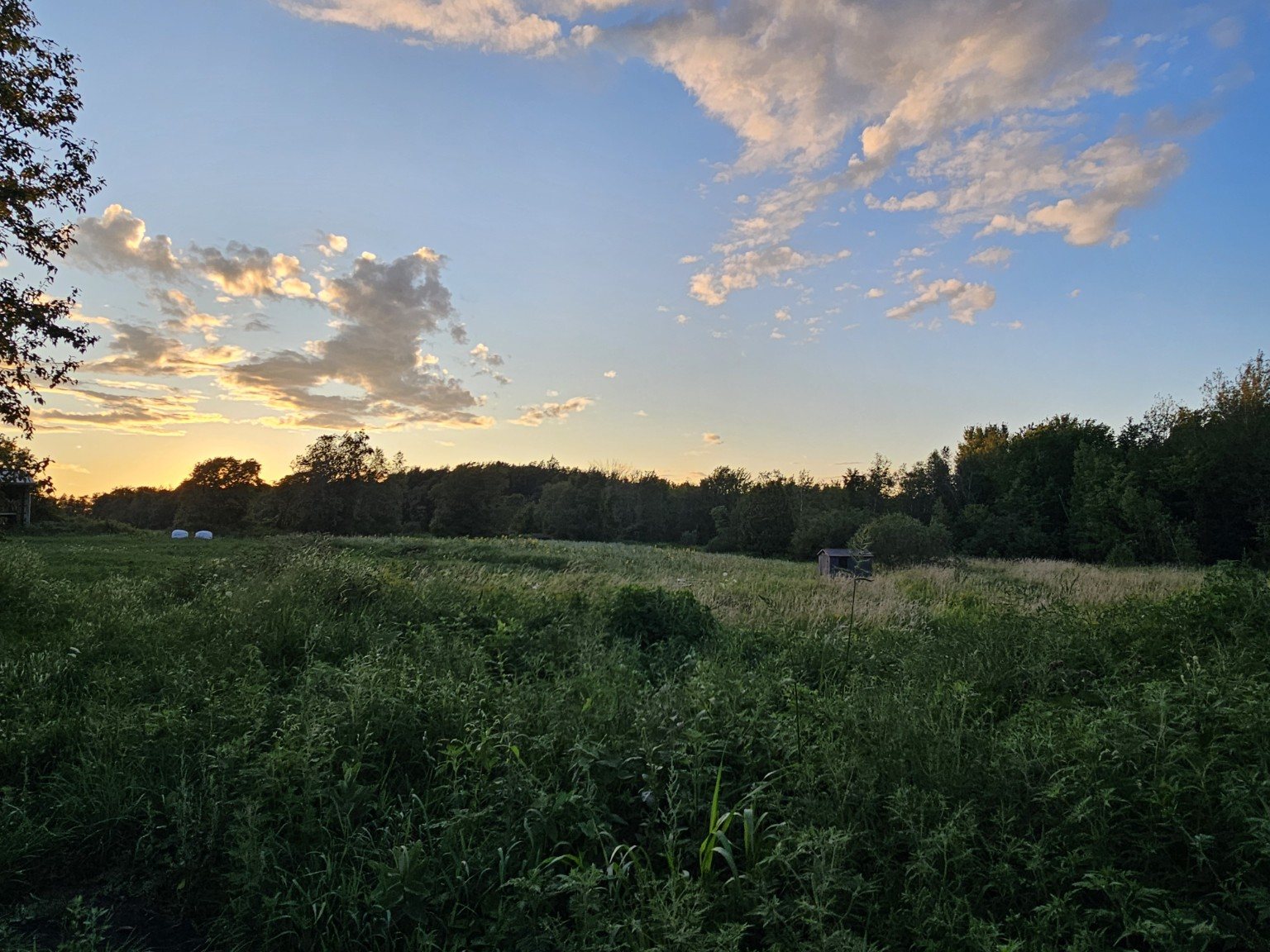 Sunset over the farm field