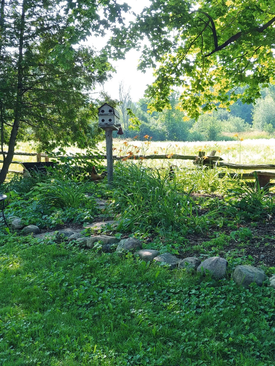 A shaded garden, birdhouse, split-rail fence, and field