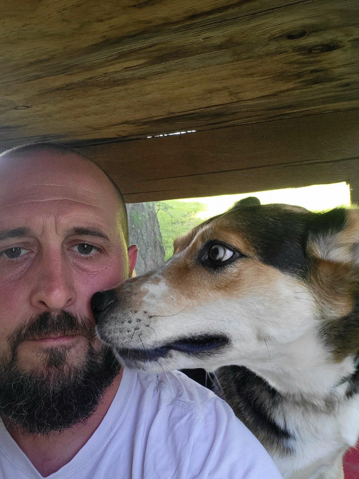 A close moment with one of the family dogs